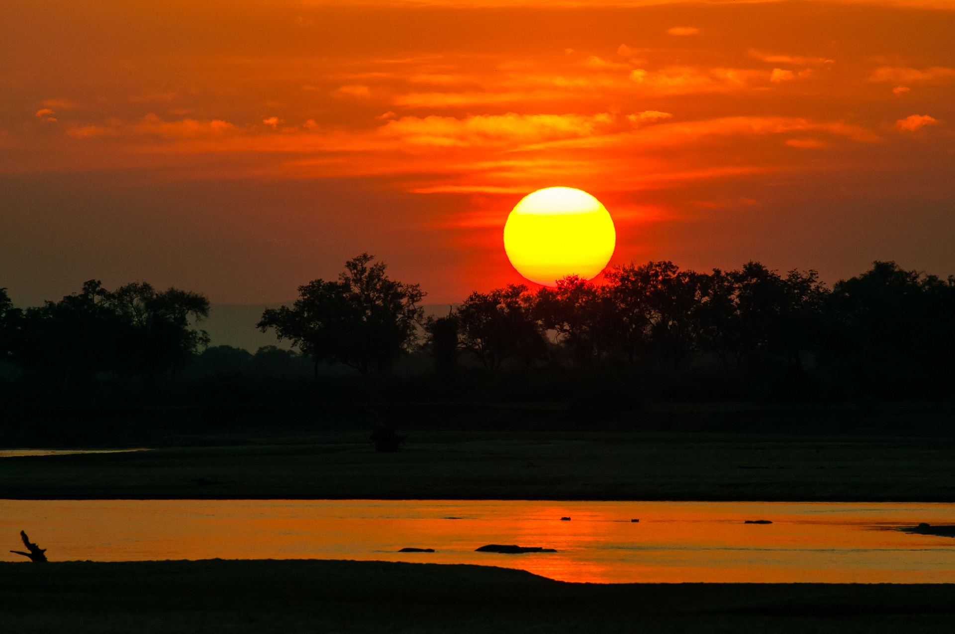 Zambia