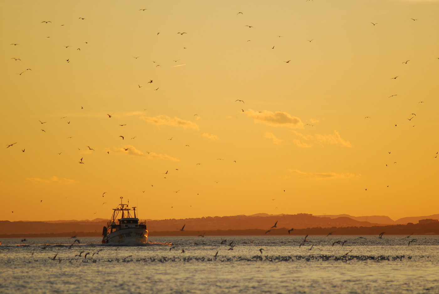 Pesca